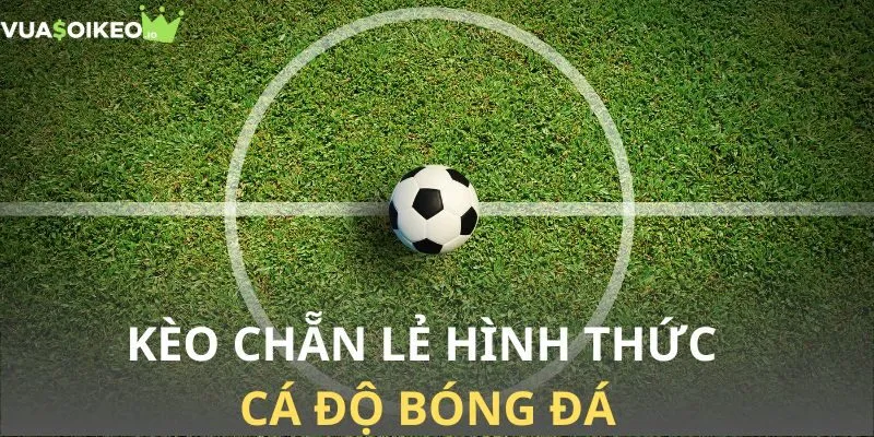 Cược chẵn lẻ hấp dẫn người chơi bởi tỷ lệ thắng cực kỳ cao