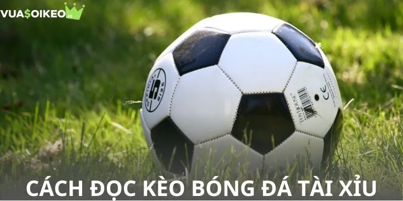 Cách đọc kèo bóng đá Tài Xỉu