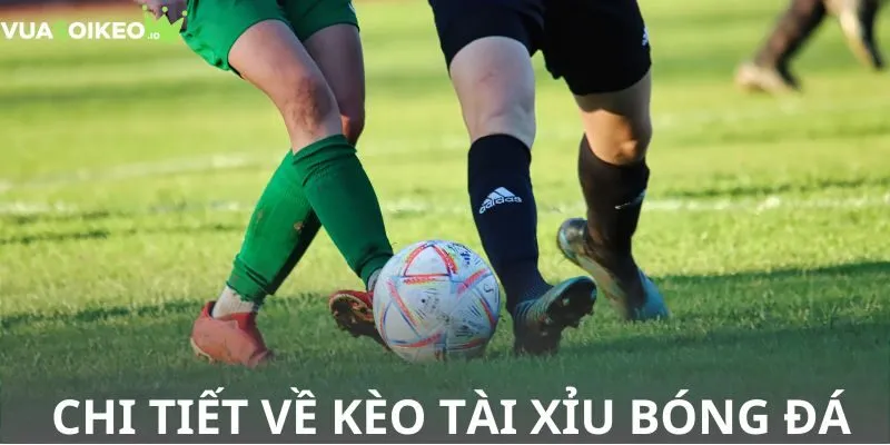 Tìm hiểu chi tiết về kèo Tài Xỉu bóng đá