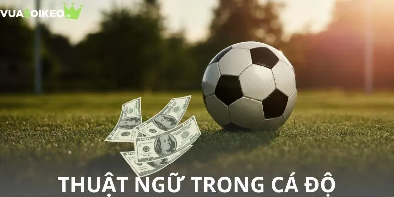 Nắm vững các thuật ngữ trong cá độ châu Âu