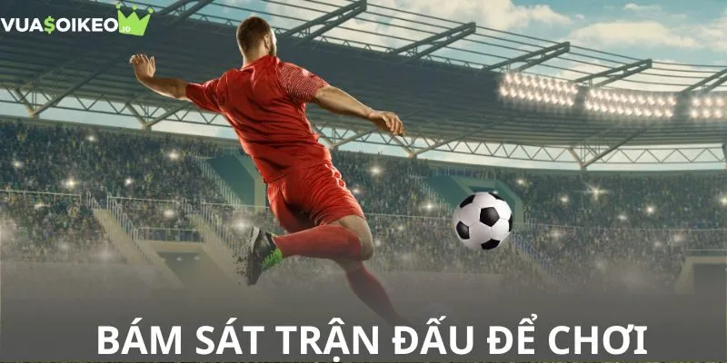 Bám sát trận đấu để chơi cược 1x2