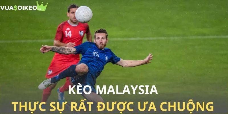  Tại sao kèo Malaysia được nhiều người lựa chọn?