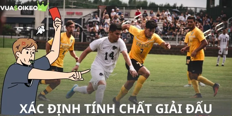 Xác định tính chất giải đấu