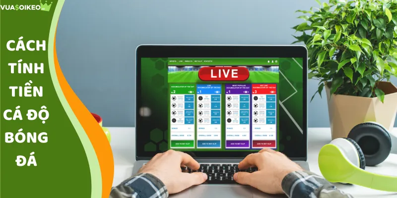 Cách Tính Tiền Cá Độ Bóng Đá