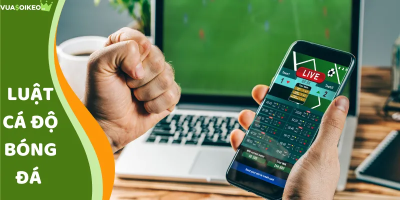 Luật cá độ bóng đá