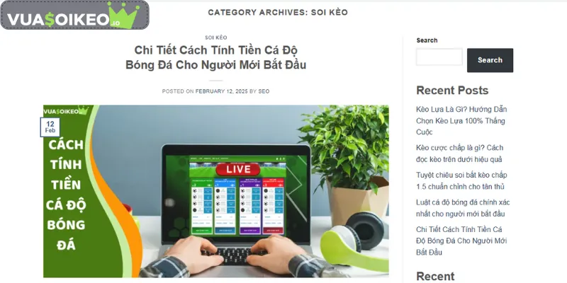Tổng hợp các thông tin được dùng để soi kèo