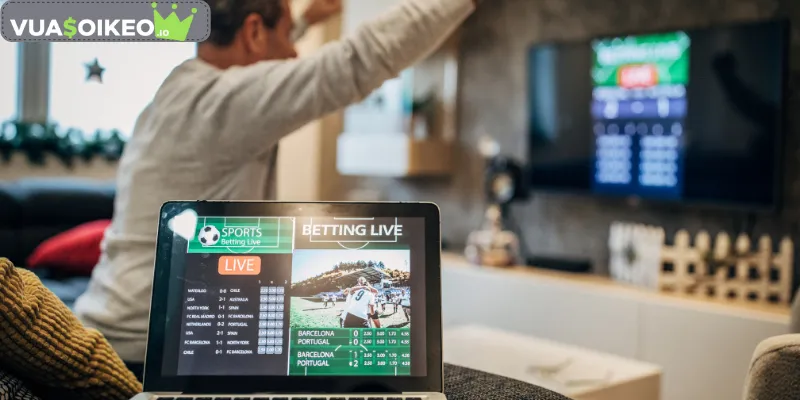 Lý thuyết cơ bản về diễn đàn cá độ bóng đá