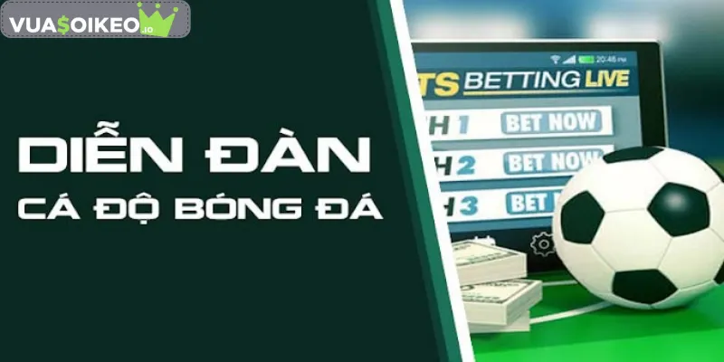 Giới thiệu diễn đàn cá độ bóng đá asianbookie