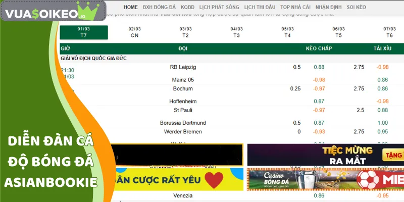 diễn đàn cá độ bóng đá asianbookie