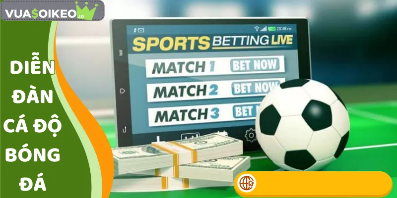 diễn đàn cá độ bóng đá