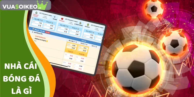 nhà cái bóng đá là gì
