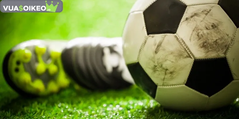 Các kiểu cá độ tại web cá độ bóng đá uy tín