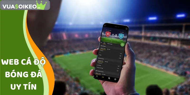 web cá độ bóng đá uy tín