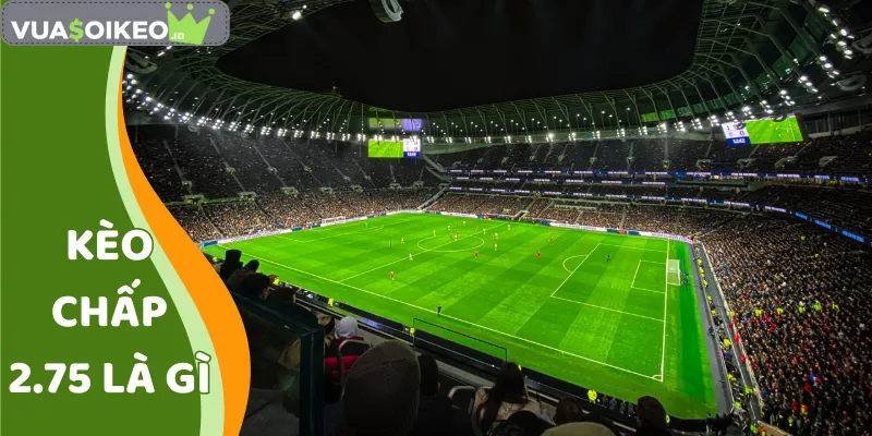 kèo chấp 2.75 là gì
