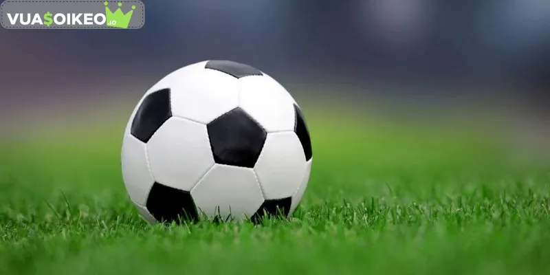 Tìm hiểu kèo tài xỉu 2 là gì